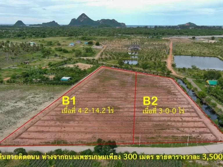 ขายที่ดินหลายแปลง ดอนทราย ทำเลดี บรรยากาศดี ตเกาะหลัก จประจวบคีรีขันธ์