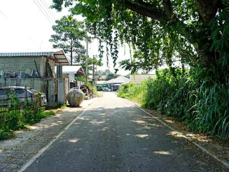 ขายที่ดิน ใกล้โรงเรียนสารสาสน์ อำเภอเมืองเชียงใหม่