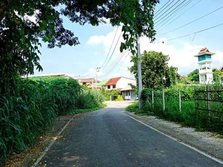 ขายที่ดิน ใกล้โรงเรียนสารสาสน์ อำเภอเมืองเชียงใหม่