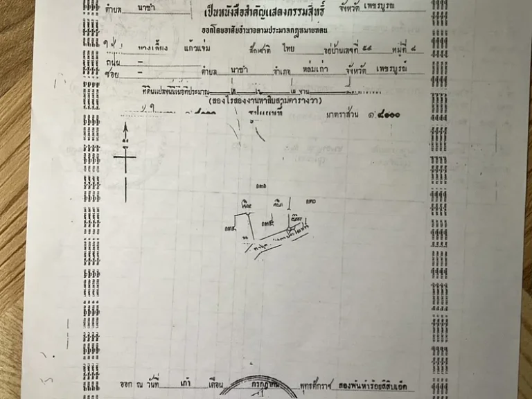 ขายที่ 15 ไร่ ติดถนนมีสระน้ำ สามารถปลูกไม้ยืนต้นได้ มะขาม ข้าวโพด และอื่นๆ