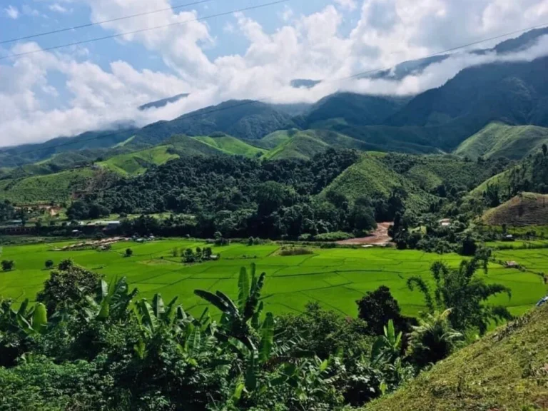 ขายที่ดินบ้านสะปัน บ่อเกลือ น่าน เหมาะสำหรับสร้างบ้านอยู่ยามเกษียณ รีสอร์ต ที่พักวิวทะเลหมอก ร้านอาหารวิวทุ่งนา คาเฟ่ริมน้ำว้าน้ำมาง