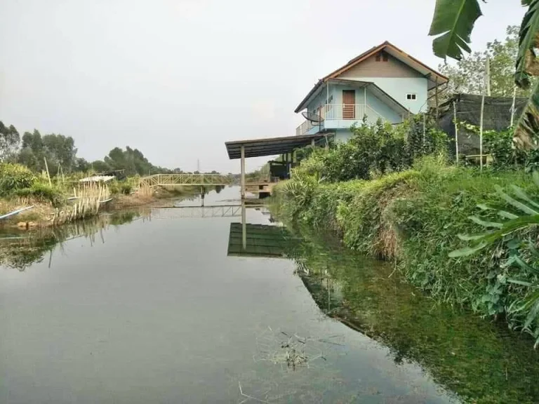 ขายถูกบ้านสวน 2 ไร่ พร้อมเรือนไทย อหนองเสือ จปทุมธานี