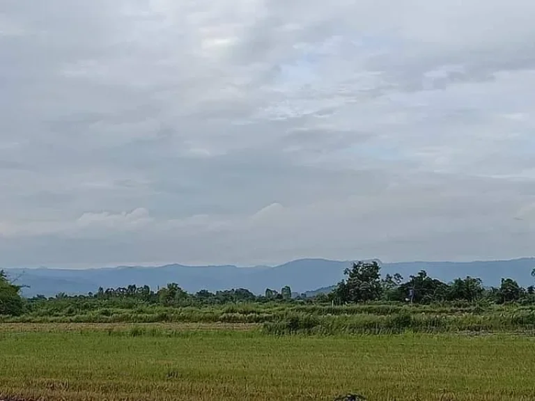 ที่ดินแบ่งขายปากพลี 200 ตรว วิวเขาสวยๆ ใกล้ถนนสุวรรณศร 33 - 1 กม จนครนายก