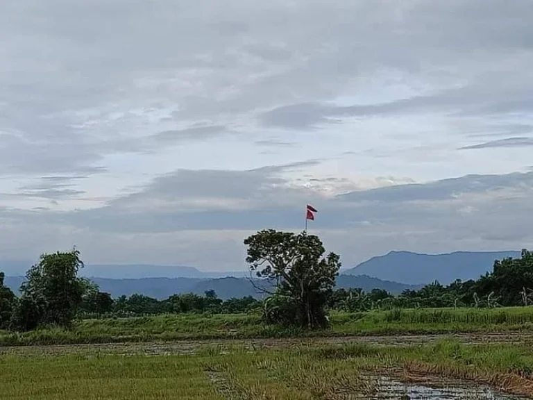 ที่ดินแบ่งขายปากพลี 200 ตรว วิวเขาสวยๆ ใกล้ถนนสุวรรณศร 33 - 1 กม จนครนายก