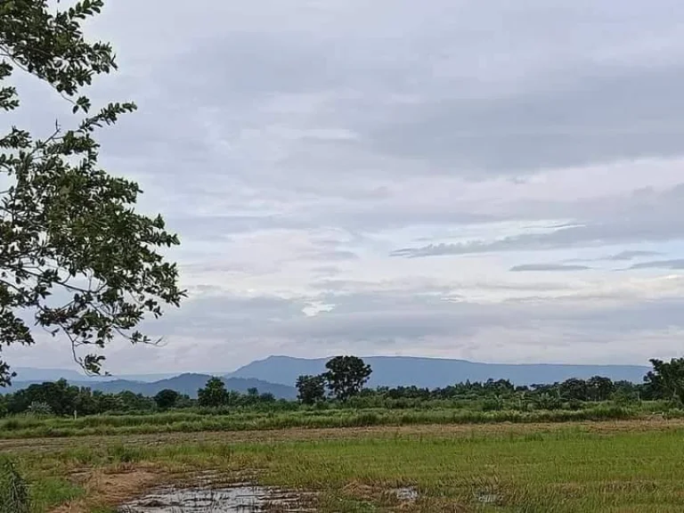 ที่ดินแบ่งขายปากพลี 200 ตรว วิวเขาสวยๆ ใกล้ถนนสุวรรณศร 33 - 1 กม จนครนายก