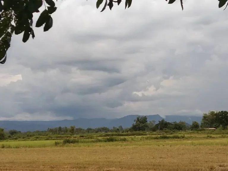 ที่ดินแบ่งขายปากพลี 200 ตรว วิวเขาสวยๆ ใกล้ถนนสุวรรณศร 33 - 1 กม จนครนายก