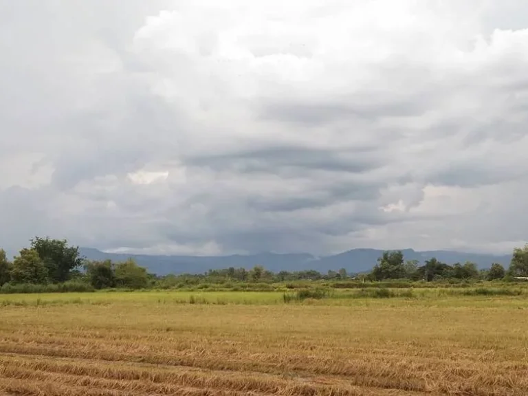 ที่ดินแบ่งขายปากพลี 200 ตรว วิวเขาสวยๆ ใกล้ถนนสุวรรณศร 33 - 1 กม จนครนายก