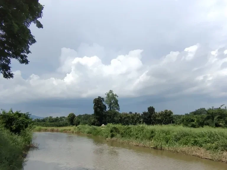 ติดแม่น้ำวาง ติดถนนลาดยาง ขายด่วนที่นาสวนผสมมีโฉนด