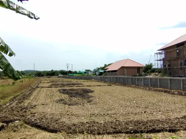 ติดแม่น้ำวาง ติดถนนลาดยาง ขายด่วนที่นาสวนผสมมีโฉนด