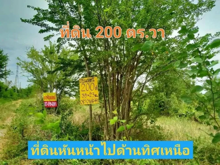 ขายถูกมากที่ดิน 200 ตารางวา ถมแล้วทั้งแปลง เหมาะสร้างบ้านสวน แบ่งครึ่งได้ ตราษฎร์นิยม อไทรน้อย