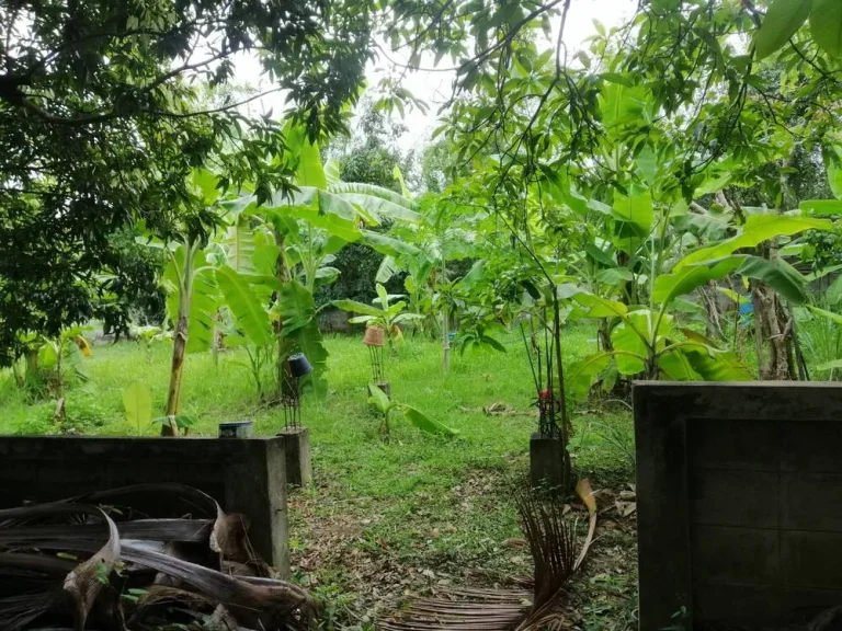 ขาย ที่ดิน ตำบลพระบาท อำเภอเมืองลำปาง จังหวัดลำปาง