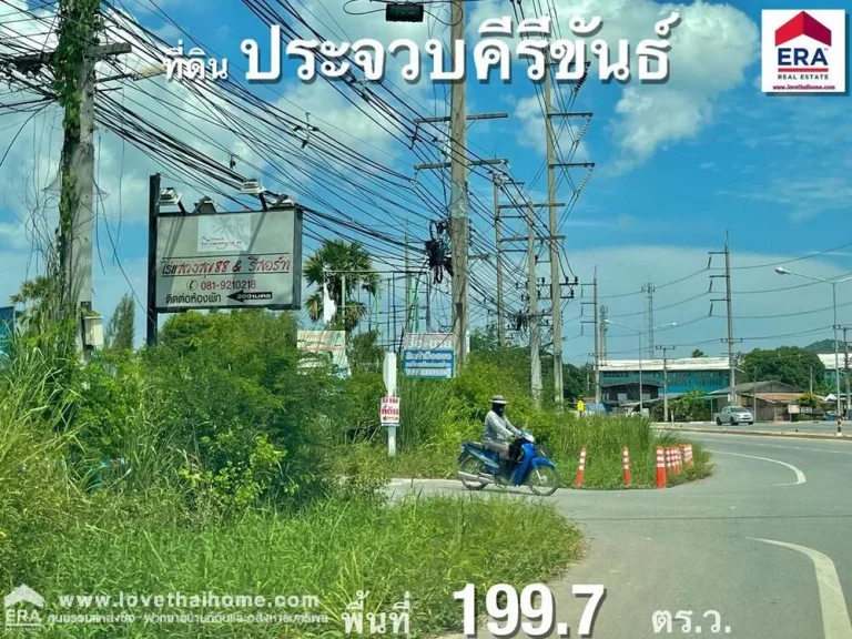 ขายที่ดินหัวหิน อยู่ซอยหมู่บ้านไนท์บริดจ์9 ตหินเหล็กไฟ ประจวบคีรีขันธ์ ติดกับสวนสัตว์หัวหิน พื้นที่1997ตรว เอกสารสิทธิ์ เป็นโฉนดพร้อมโอน