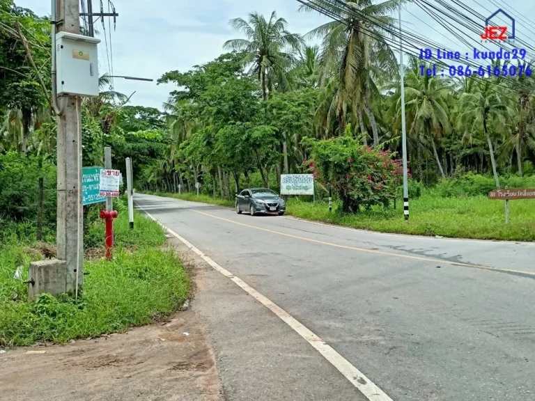 ที่ดินสวนมะพร้าวเก็บเกี่ยวผลผลิตได้ติดถนนดำ ออัมพวา จสมุทรสงคราม พื้นที่ 5-1-27 ไร่ ราคา 4700000 บาท