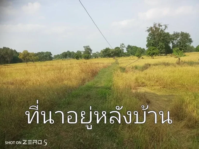 ขายบ้านพร้อมที่ดิน มีสวน ที่นาหลังบ้านเปิดประตูหลังบ้านถึงสวนและที่นา