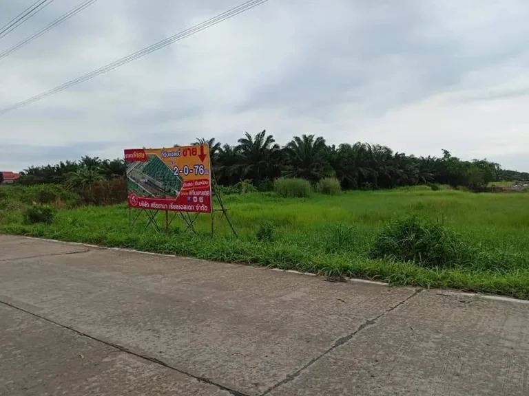 ขายที่ดินผ่อนได้ ติดถนนเลียบคลองแอล หนองเสือ ปทุมธานี