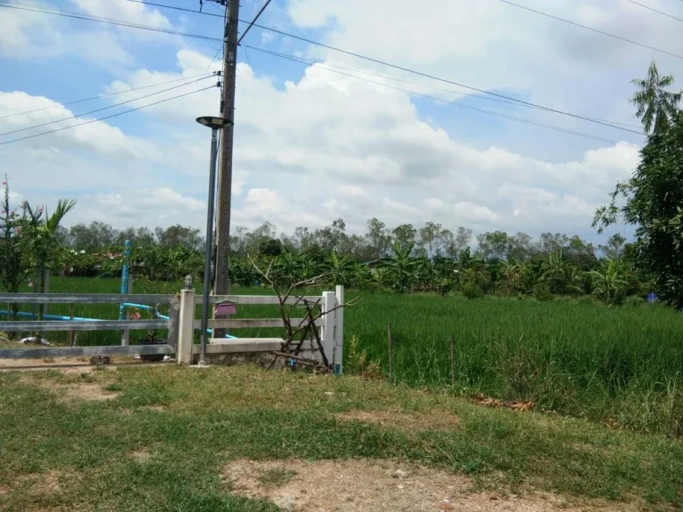 ขายที่ดินโฉนด เนื้อที่ 2 ไร่ เป็นทุ่งนา ติดถนนลาดยาง วิวสวย