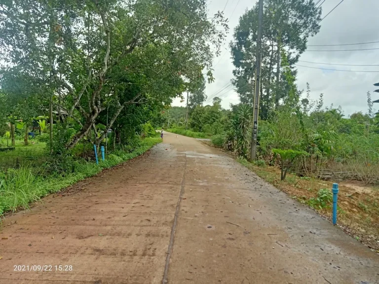 แบ่งขายโฉนดที่ดินสวยมากเหมาะสำหรับปลูกบ้านจันทบุรี