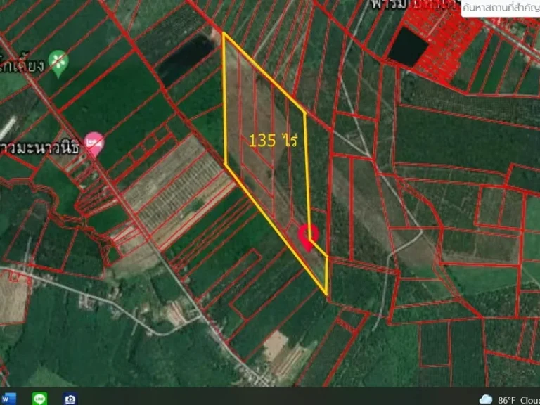 ขายที่ดิน 135 ไร่ ที่ตั้ง ตำบลทุ่งรัง อำเภอกาญจนดิษฐ์ จังหวัดสุราษฎร์ธานี