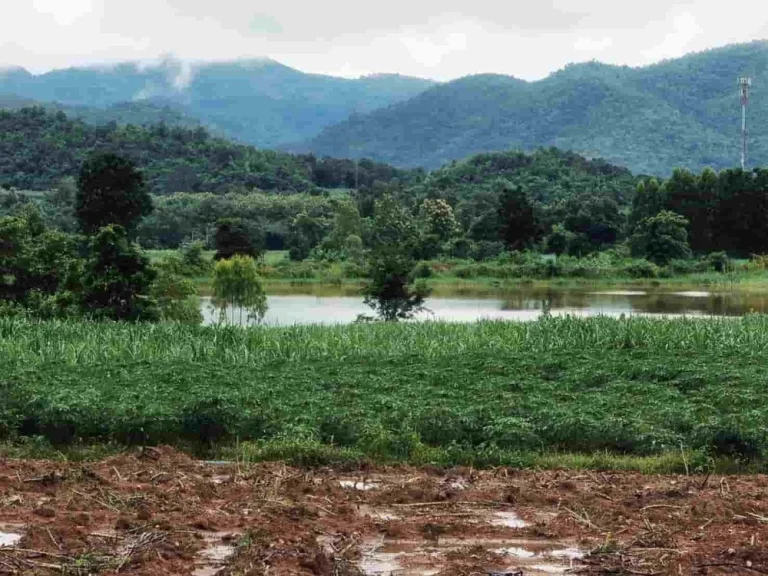 สี่แปลงสุดท้าย ที่ดินหลักแสน บรรยากาศหลักล้าน ที่ติดถนน ทำเลดี วิวสวย อด่านช้าง จสุพรรณบุรี