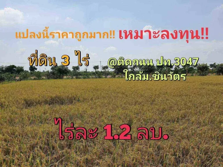 ขายที่ดินราคาถูกมาก 3 ไร่ ใกล้ มหาวิทยาลัยชินวัตร ติดถนน ปท3047 ตบางเตย อสามโคก จปทุมธานี