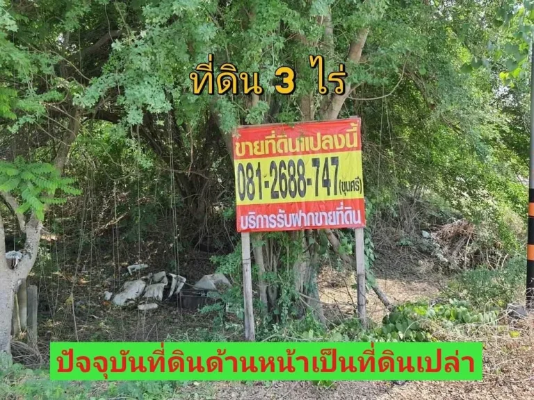 ขายที่ดินราคาถูกมาก 3 ไร่ ใกล้ มหาวิทยาลัยชินวัตร ติดถนน ปท3047 ตบางเตย อสามโคก จปทุมธานี