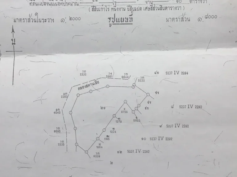 ที่ดิน อบ้านนา 50ไร่เศษ ตำบลป่าขะ จังหวัดนครนายก ที่นา ติดถนน ติดคลอง