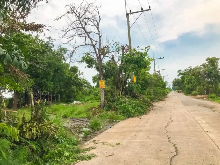 ขายที่ดิน 180 ตรว ถมแล้ว ซอยคลองสี่ ตะวันตก 33 อคลองหลวง จปทุมธานี