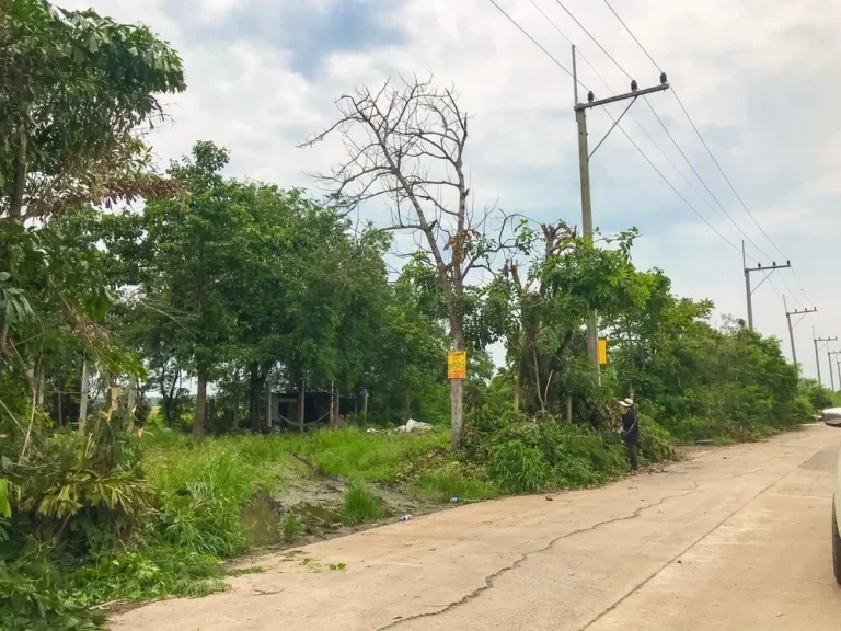 ขายที่ดิน 180 ตรว ถมแล้ว ซอยคลองสี่ ตะวันตก 33 อคลองหลวง จปทุมธานี