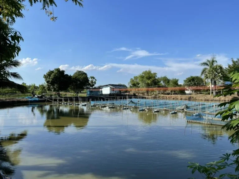 ขายด่วน ที่ดินติดถนนสี่เลน มีเกาะกลาง ถนนศุขประยูรพนัสนิคม-แปดริ้ว