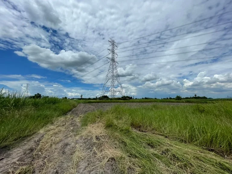 ขายที่ดินหนองเขิน ตำบลหนองอิรุณ อำเภอบ้านบึง จังหวัดชลบุรี