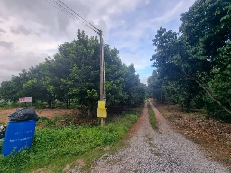 ขายที่ดินเมืองระยอง 200 ตรว ยกแปลง 18 ล้านบาท ที่สูงเสมอถนนติดถนนลาดยาง จระยอง