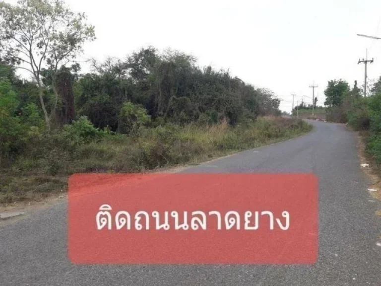 ขายที่ดิน เนื้อที่ 4ไร่ ติดถนนลาดยาง ใกล้นิคมฯเกตเวย์ ฟรีค่าโอน