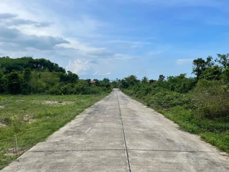 ที่ดินเกาะยอ สงขลา ใกล้ทะเล วิวดี อากาศดี เนื้อที่ 372 ตรวา