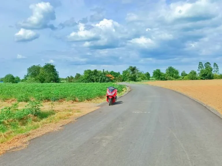 ขายที่ดินอู่ทองวิวเขาสวยโอบล้อม ใกล้วัดเขาดีสลัก พื้นที่อุดมสมบูรณ์เหมาะสร้างบ้านสวนยามเกษียณ