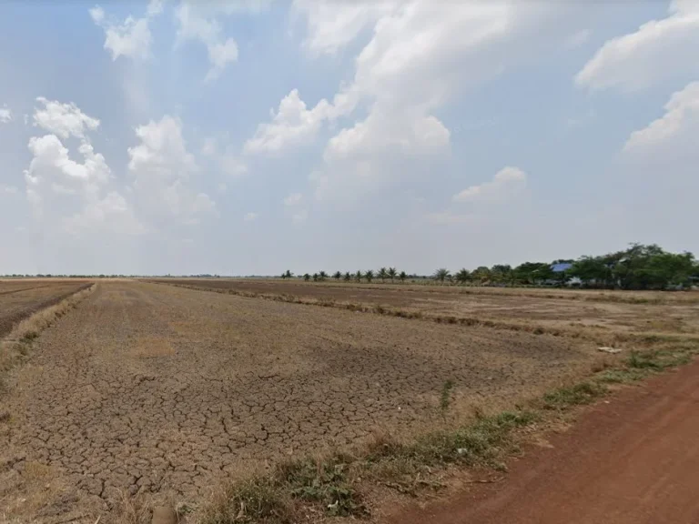 ขายที่ดินบางน้ำเปรี้ยว 13 ไร่ ใกล้สถานีรถไฟโพรงอากาศ - 2 กม จฉะเชิงเทรา