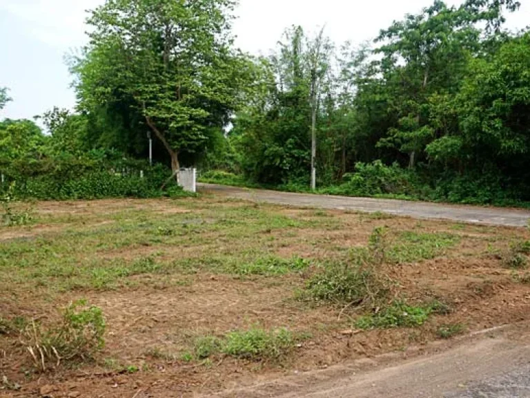 ขายที่ดิน บรรยากาศดี ใกล้ถนนเลียบคลองชลประทาน สันทราย เชียงใหม่