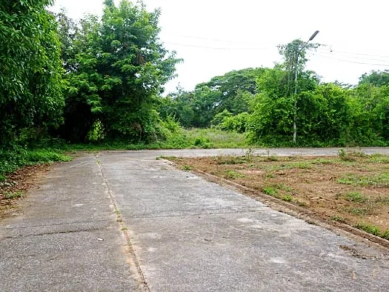 ขายที่ดิน บรรยากาศดี ใกล้ถนนเลียบคลองชลประทาน สันทราย เชียงใหม่