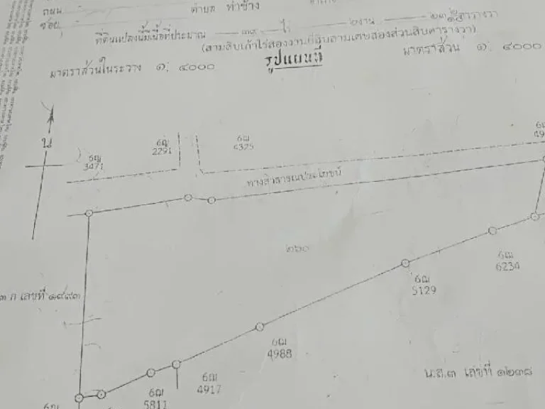 ที่ดินสวนทุเรียน 39 ไร่ หมอนทอง 1053 ตัน มีสระน้ำ บ่อบาดาร ติดถนน อกระเฉด จระยอง