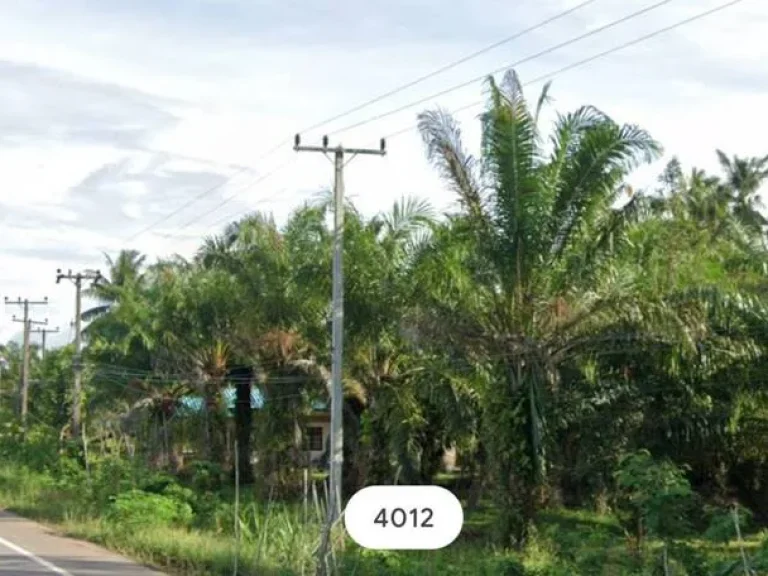 ขายที่ดินริมทะเลหาดส่วนตัวโฉนด 6 ไร่ ใกล้ท่าเรือเกาะพิทักษ์ วิว 360° ขายไร่ละ 6 ลพร้อมโอน