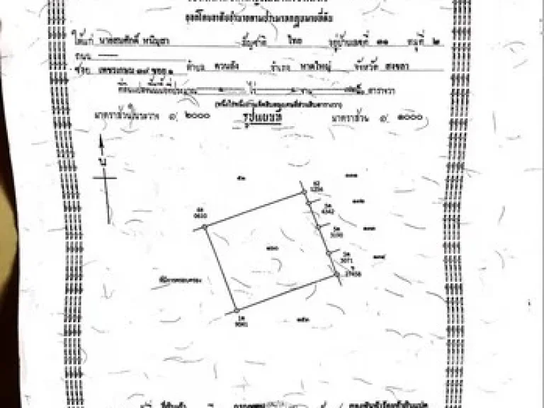 ขายด่วนที่ดินสวนยาง ติดถนนคอนกรีต จากถนนหลัก 200 เมตร บ้านหน้าควน ตำบลควนลัง อำเภอหาดใหญ่