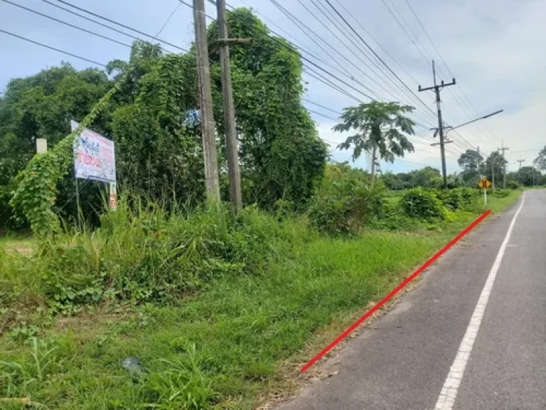 ขายที่ดินเปล่า 100 ตรวตหนองแสง อปากพลี จนครนายก