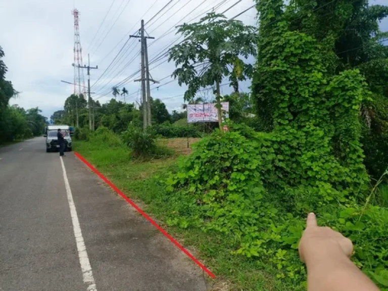 ขายที่ดินเปล่า 100 ตรวตหนองแสง อปากพลี จนครนายก