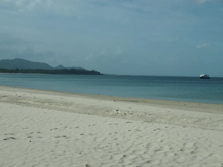 ขายที่ดินติดทะเลหาดทุ่งวัวแล่น เจ้าของขายเอง ไร่ละ 15 ล้านบาท