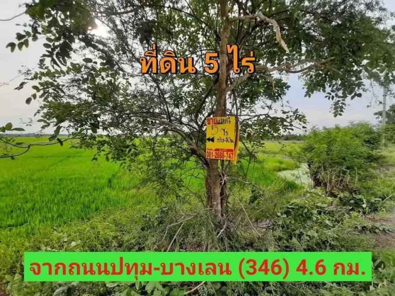 ขายที่ดิน 5 ไร่ ติดถนน นบ3015 ตำบลไทรใหญ่ อไทรน้อย จนนทบุรี