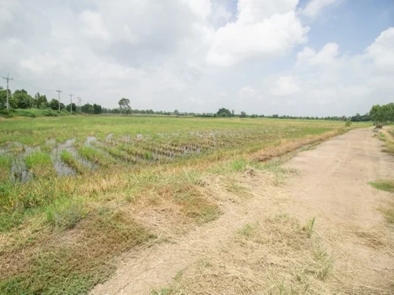 ขาย ที่ดิน ติดถนน เนินพระปรางค์ บางเลน สองพี่น้อง สุพรรณบุรี