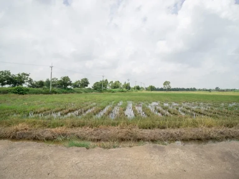 ขาย ที่ดิน ติดถนน เนินพระปรางค์ บางเลน สองพี่น้อง สุพรรณบุรี