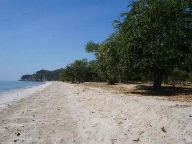 ขายด่วน ที่ดินชายทะเลผืนใหญ่ หาดทรายสวย ขนาบด้วยภูเขา หน้ากว้าง 390 เมตร ใกล้ท่าเรือ ประจวบคีรีขันธ์