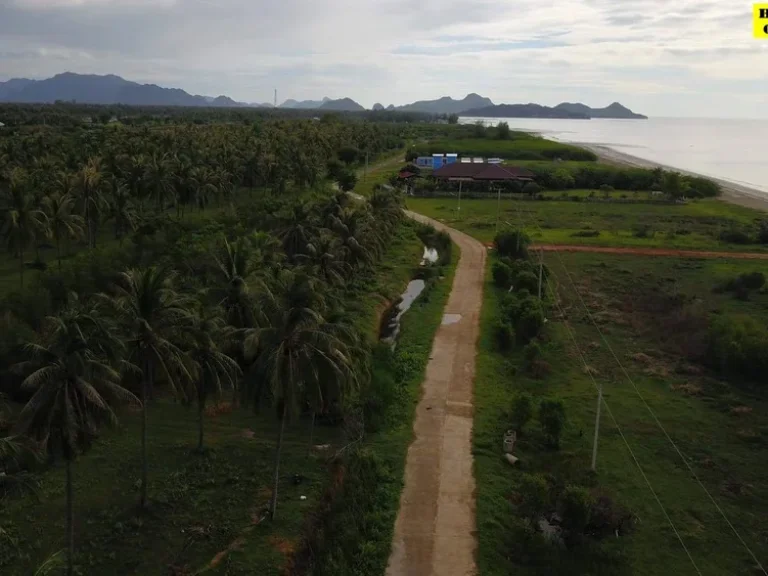 ขายที่ดินติดทะเลกุยบุรี ตำบลกุยเหนือ อำเภอกุยบุรี จังหวัดประจวบคีรีขันธ์