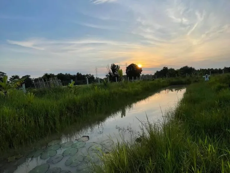 ขายที่ดินโฉนด3ไร่อำเภอเมืองบุรีรัมย์ เป็นบ้านสวนโคกหนองนา พร้อมสิ่งปลูกสร้างบ้าน โรงรถ ครัว ห้องเก็บของ