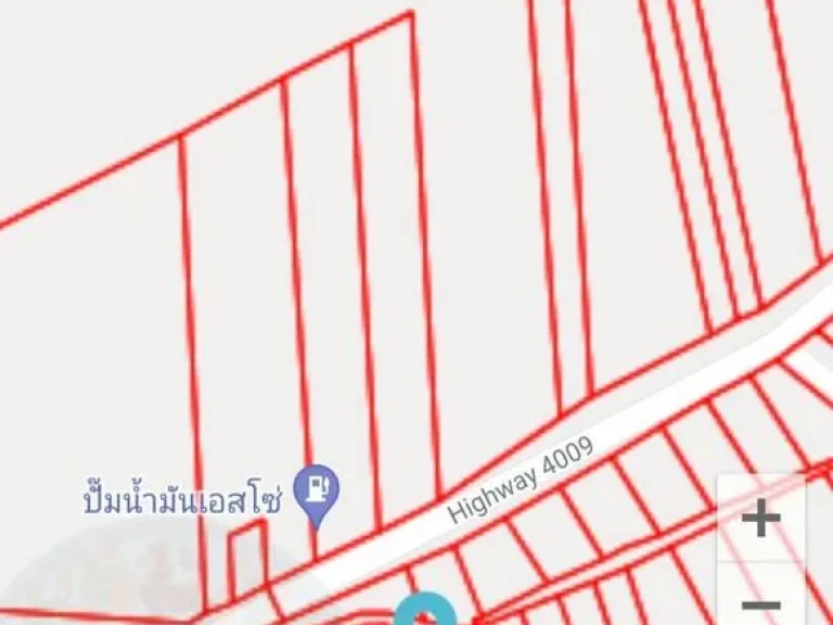 ขายที่ดิน 2-3-10 ไร่ ตกุดจอก อหนองมะโมง จชัยนาท ฟรีค่าโอน